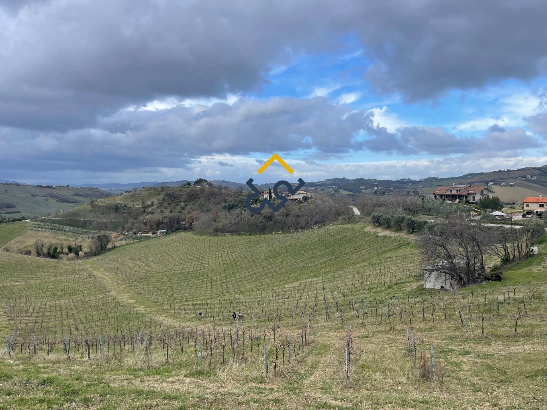 immagine annuncio 3 di 6