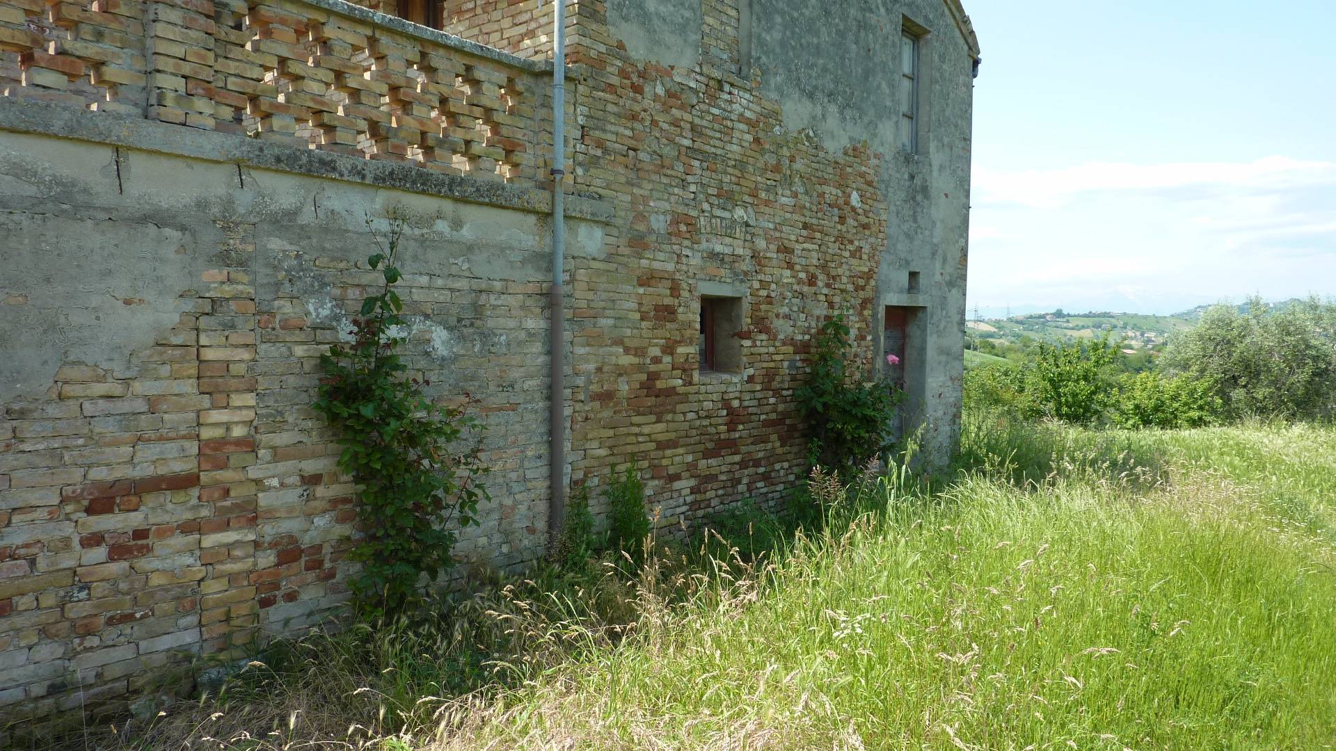 immagine annuncio 5 di 6