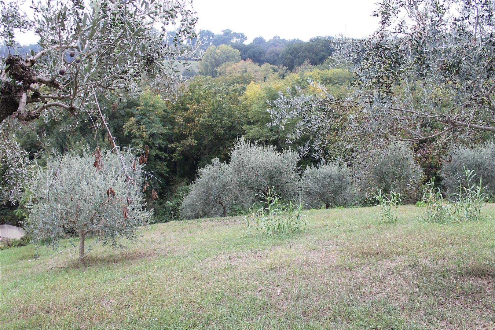 immagine annuncio 5 di 6