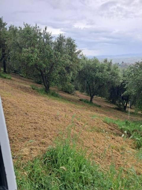 Terreno edificabile (residenziale o commerciale) in vendita a Colonnella, Collinare