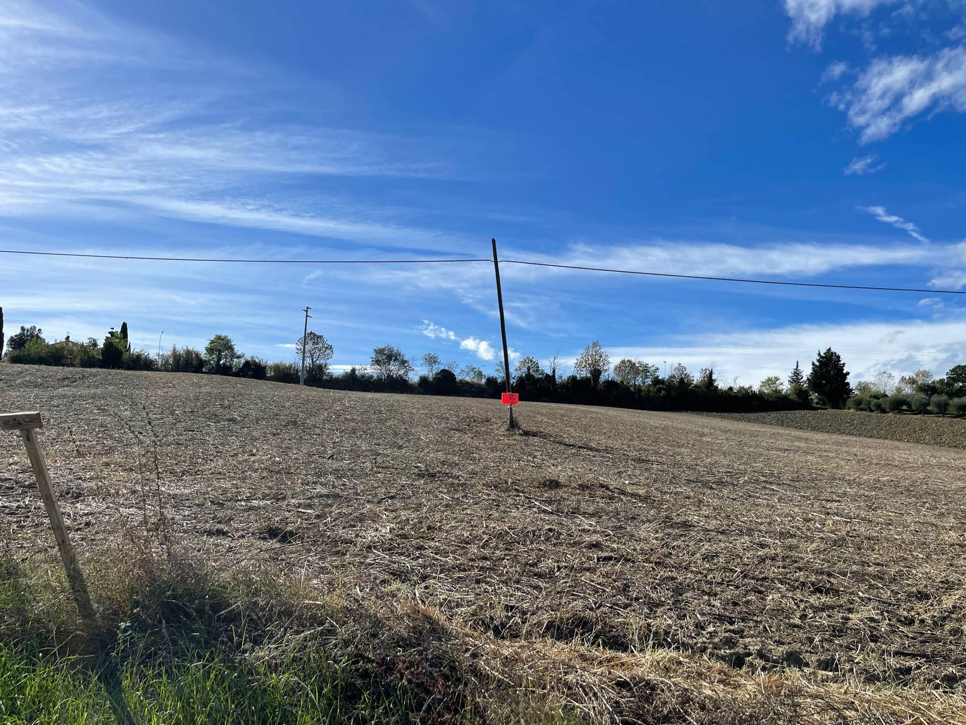 Terreno Agricolo in vendita a Offida