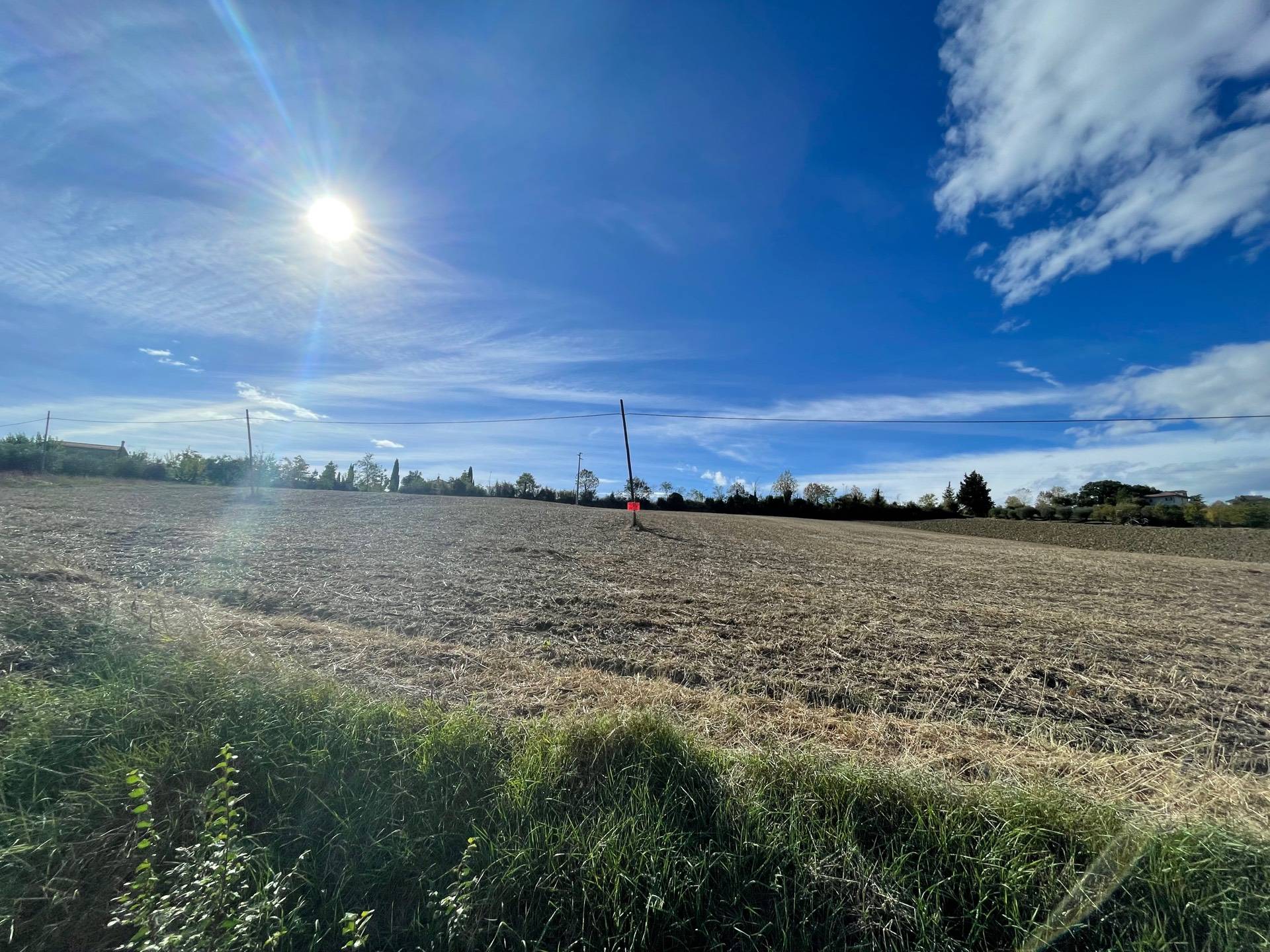 Terreno Agricolo in vendita a Offida