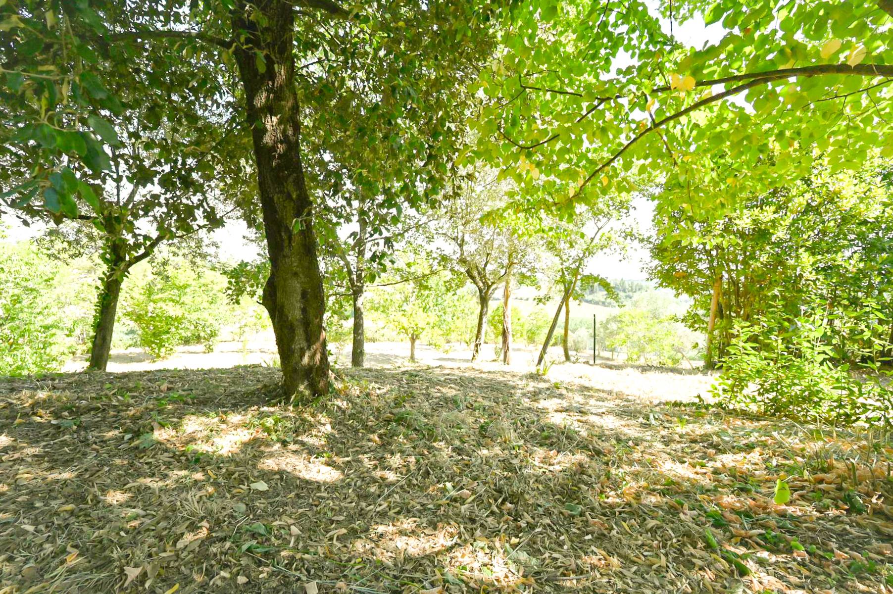 Rustico/Casale in vendita a Spinetoli