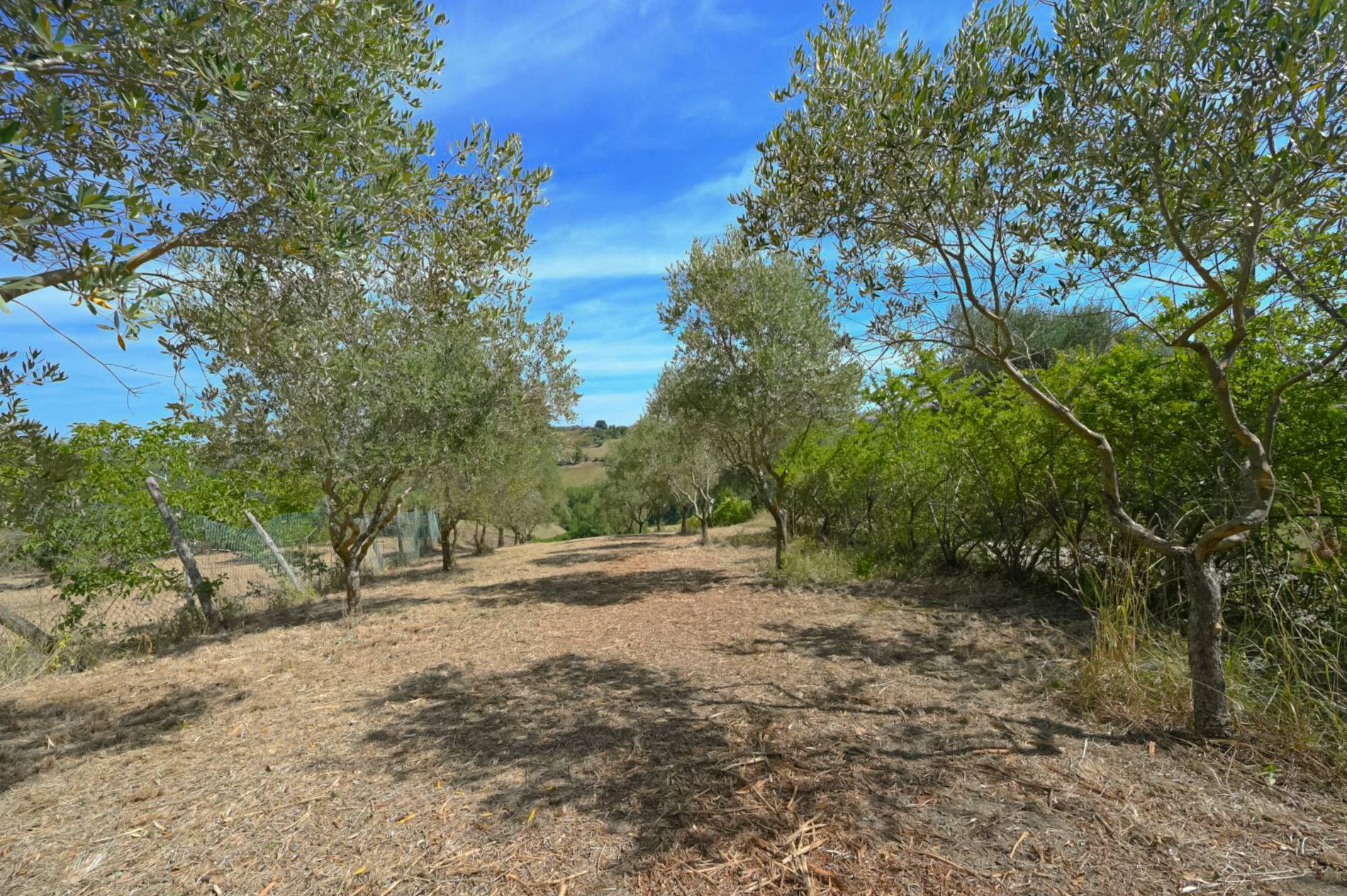 Rustico/Casale in vendita a Spinetoli