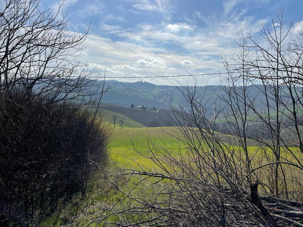 Rustico/Casale in vendita a Castignano