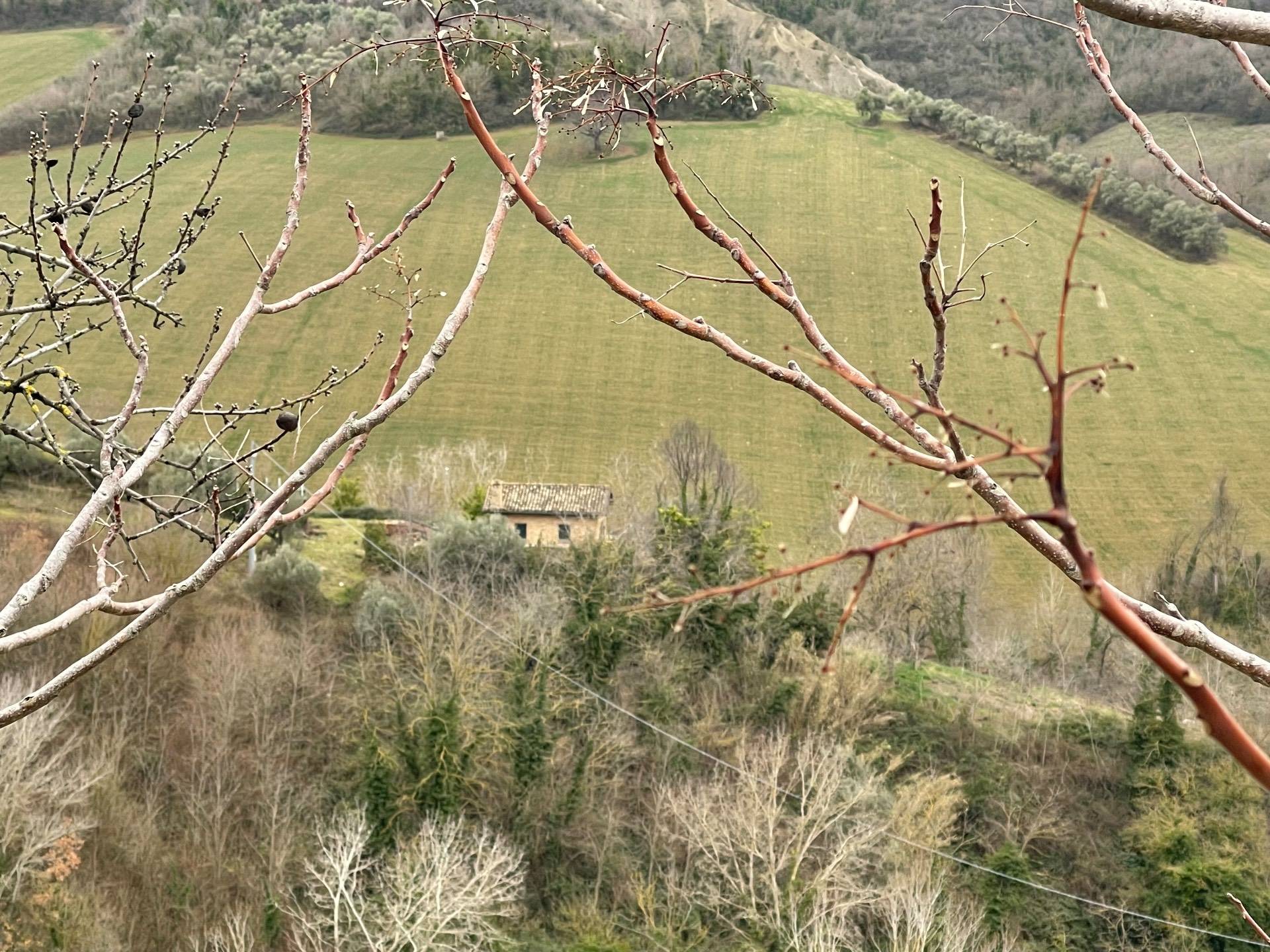 Rustico/Casale in vendita a Ripatransone