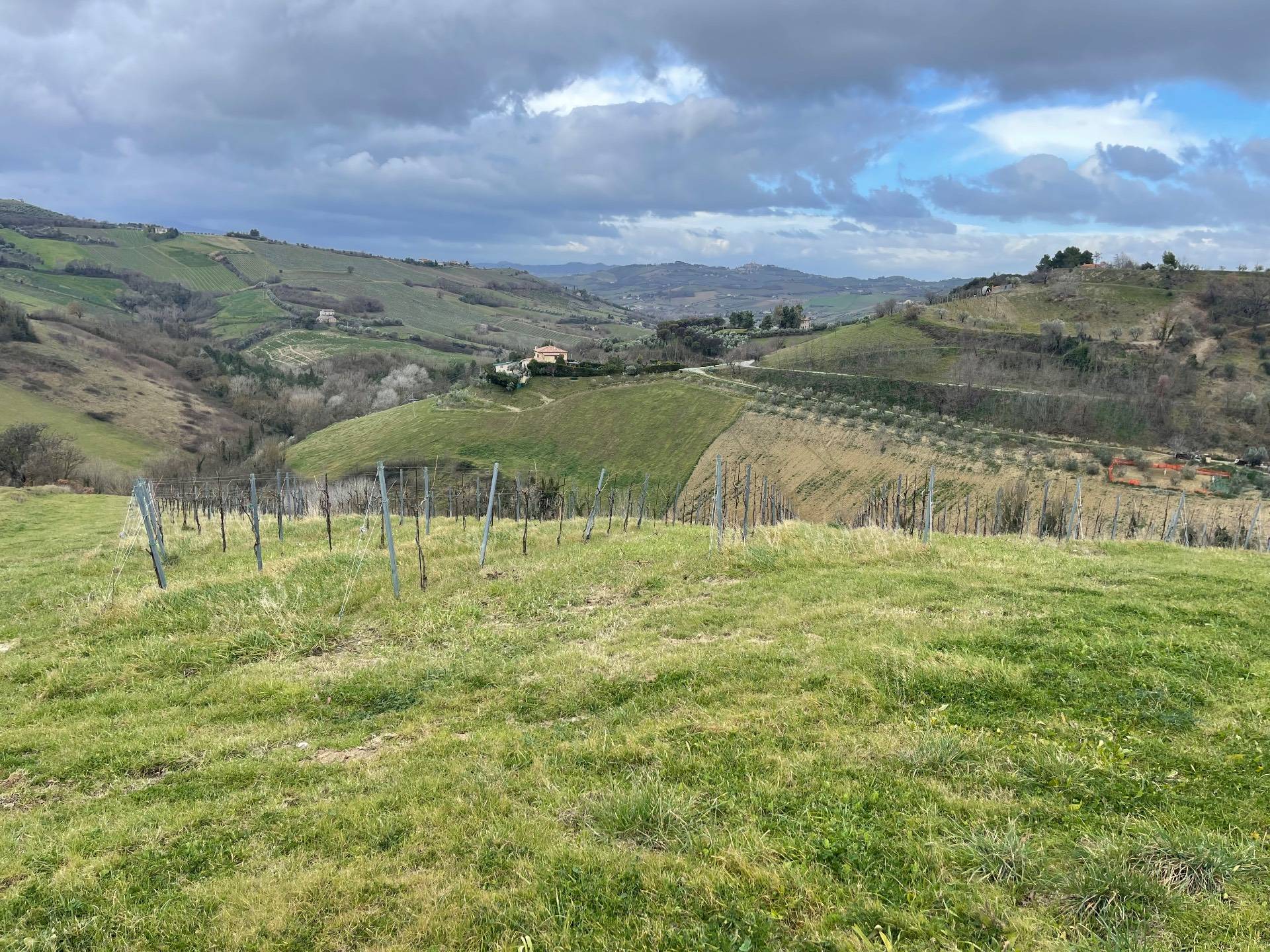 Rustico/Casale in vendita a Ripatransone