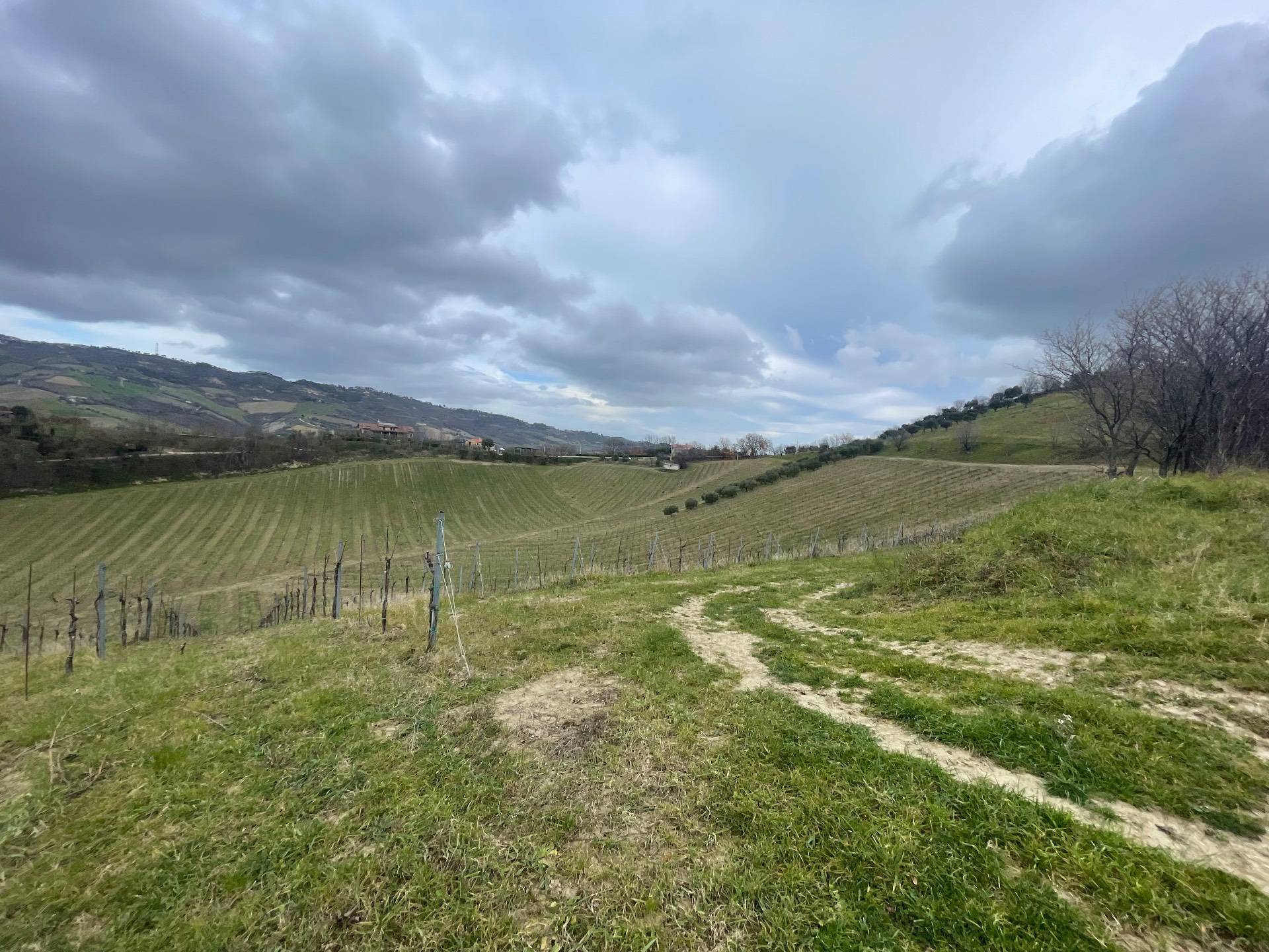 Rustico/Casale in vendita a Ripatransone