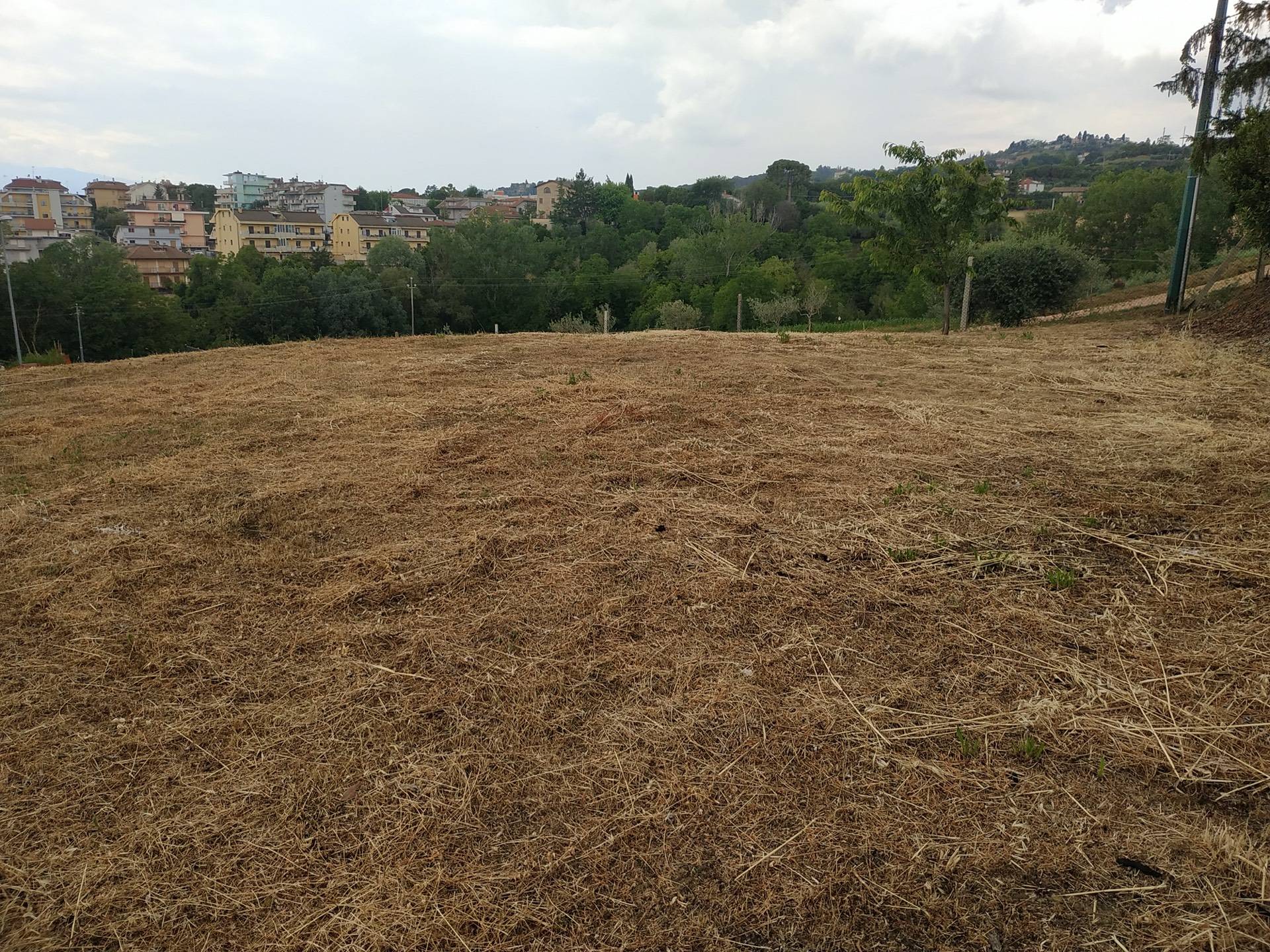 Terreno edificabile (residenziale o commerciale) in vendita a Monsampolo del Tronto, STELLA DI MONSA