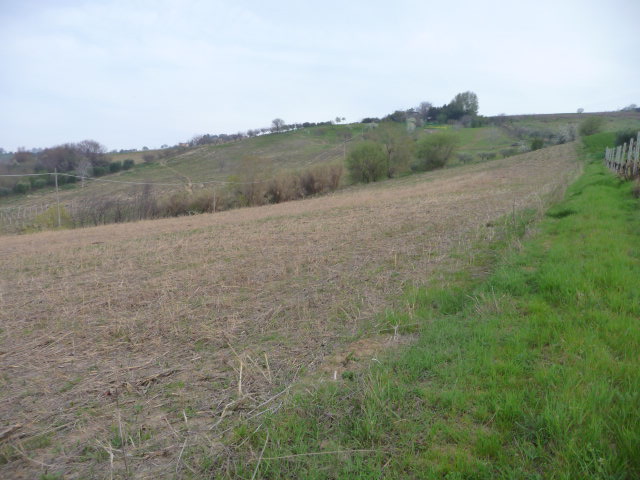 Terreno Agricolo in vendita a Acquaviva Picena, Sant'Angelo zona industriale