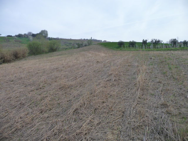 Terreno Agricolo in vendita a Acquaviva Picena, Sant'Angelo zona industriale