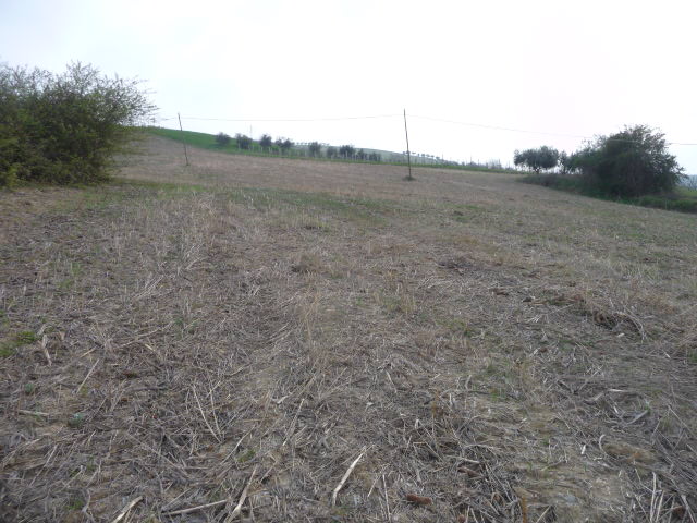Terreno Agricolo in vendita a Acquaviva Picena, Sant'Angelo zona industriale