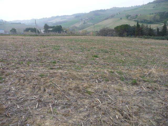 Terreno Agricolo in vendita a Acquaviva Picena, Sant'Angelo zona industriale