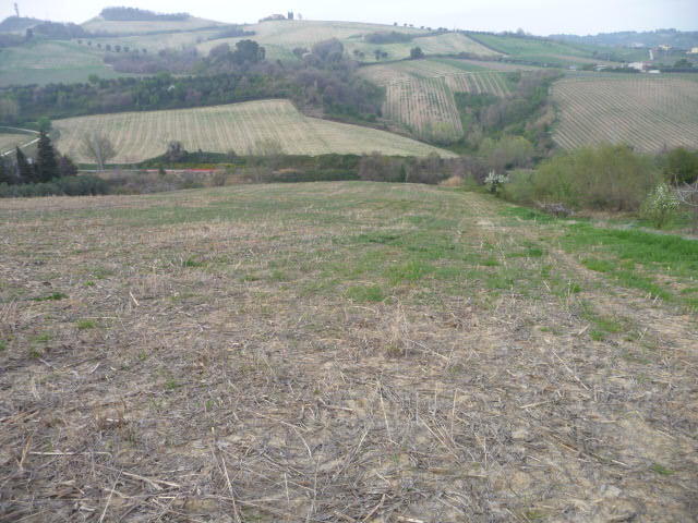 Terreno Agricolo in vendita a Acquaviva Picena, Sant'Angelo zona industriale