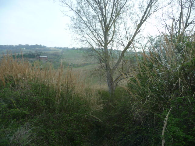 Terreno Agricolo in vendita a Acquaviva Picena, Sant'Angelo zona industriale