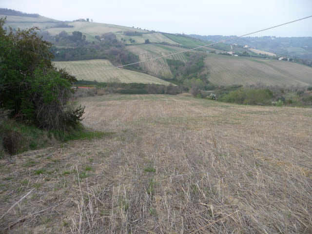 Terreno Agricolo in vendita a Acquaviva Picena, Sant'Angelo zona industriale