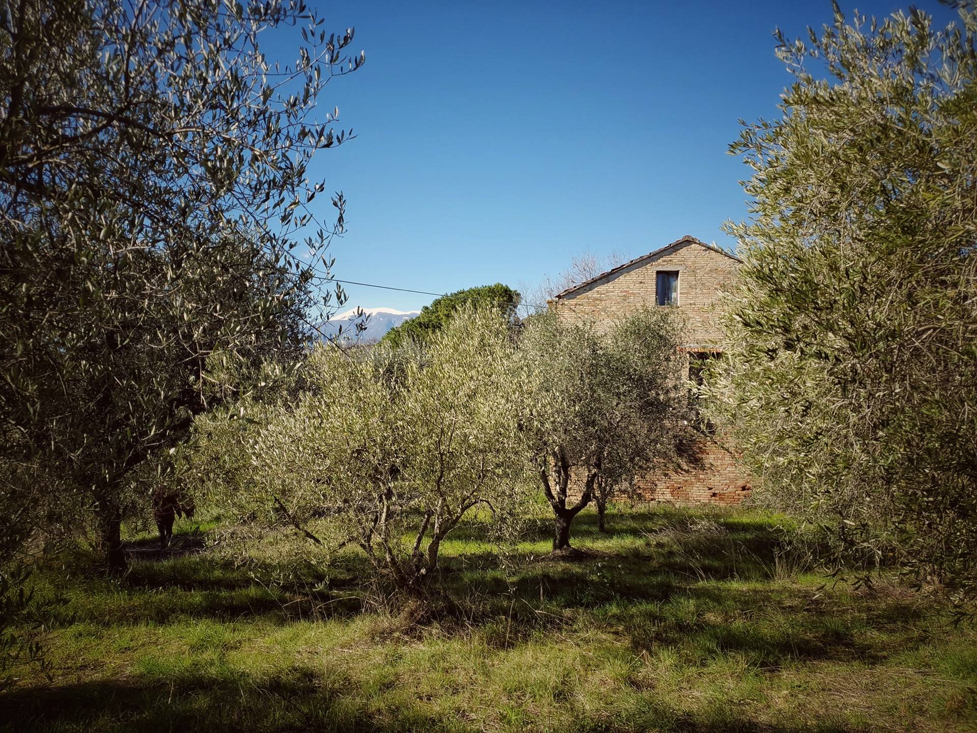 Rustico/Casale in vendita a Castorano