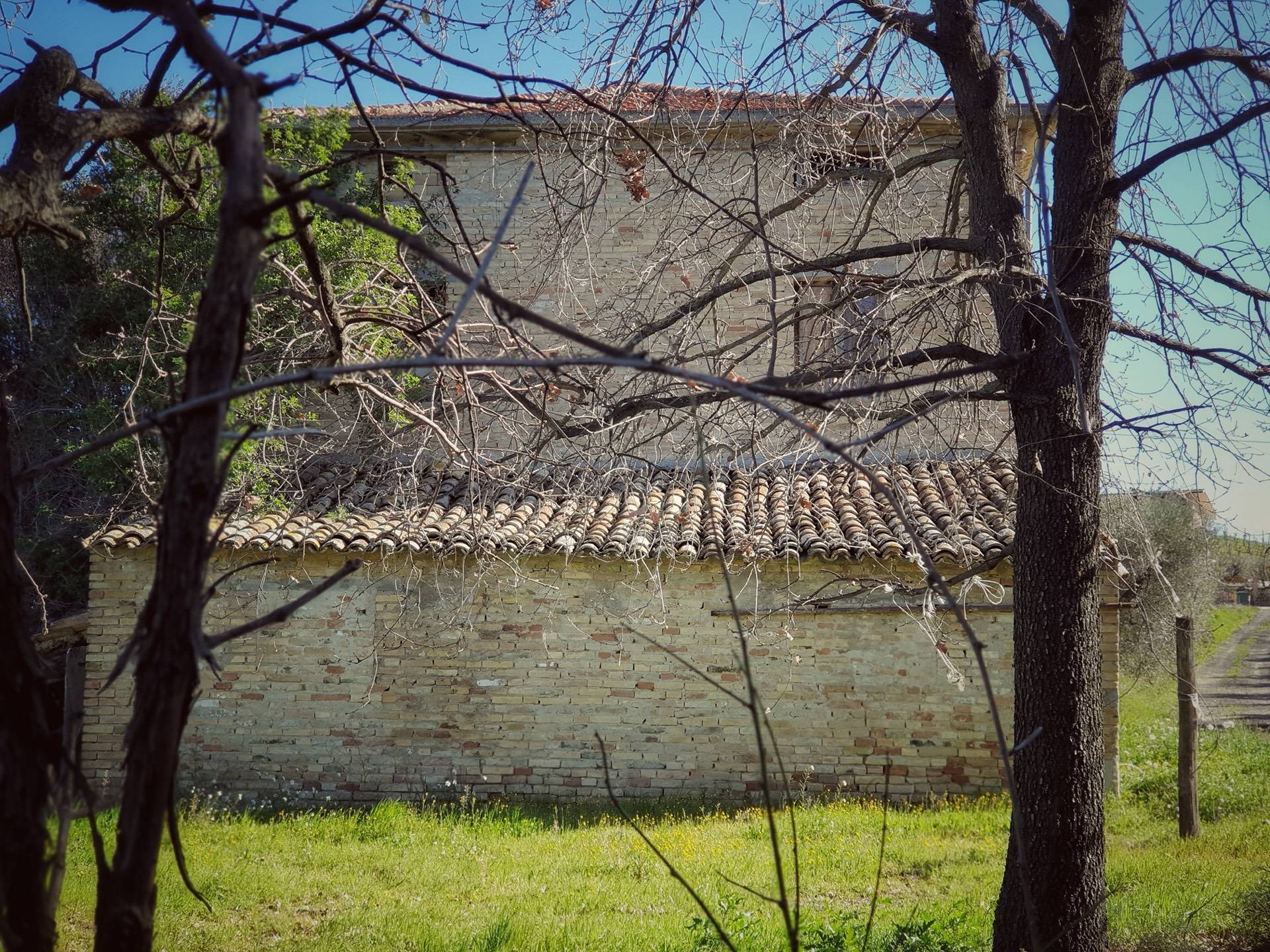 Rustico/Casale in vendita a Castorano