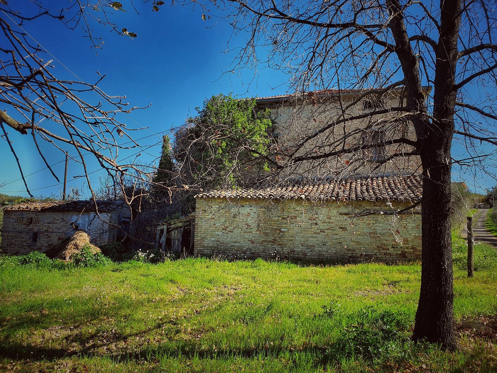 Rustico/Casale in vendita a Castorano
