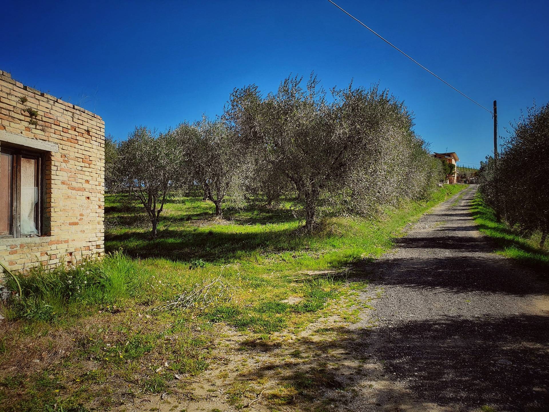 Rustico/Casale in vendita a Castorano