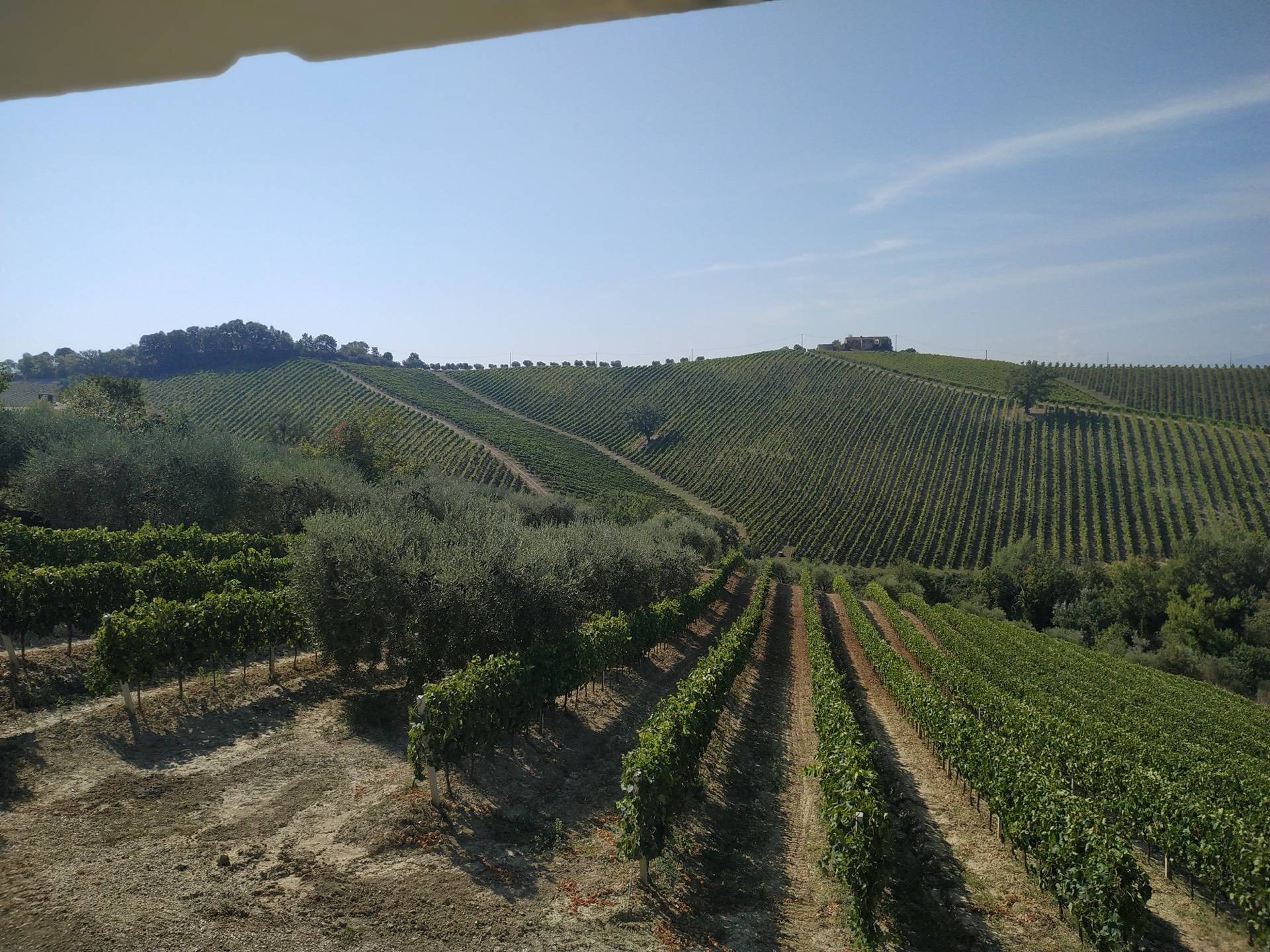 Rustico/Casale in vendita a Acquaviva Picena, Casarica