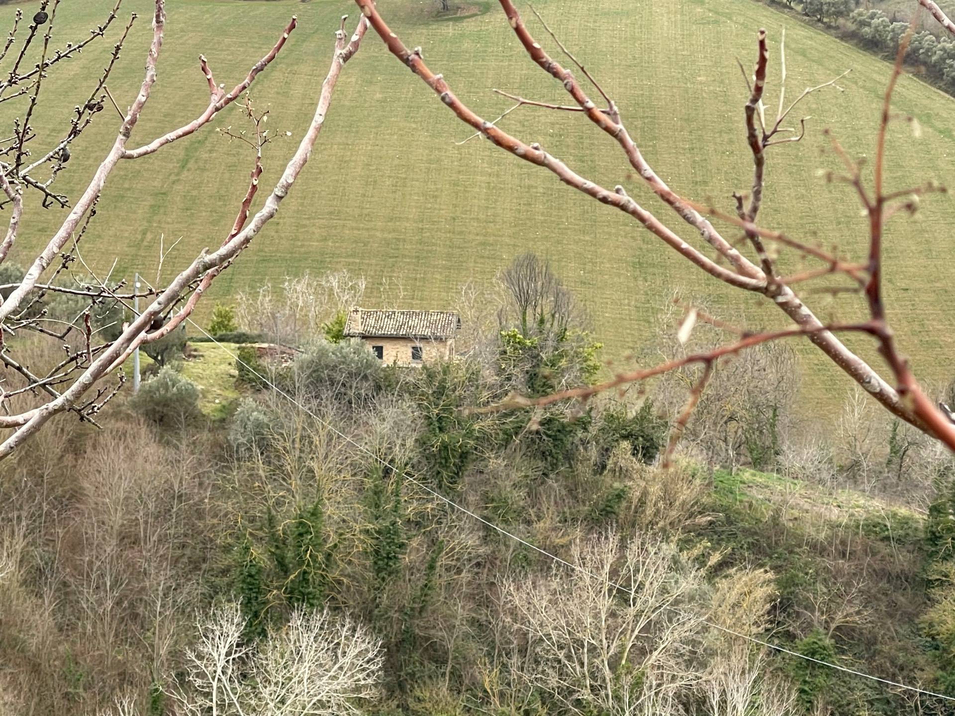 Rustico/Casale in vendita a Ripatransone