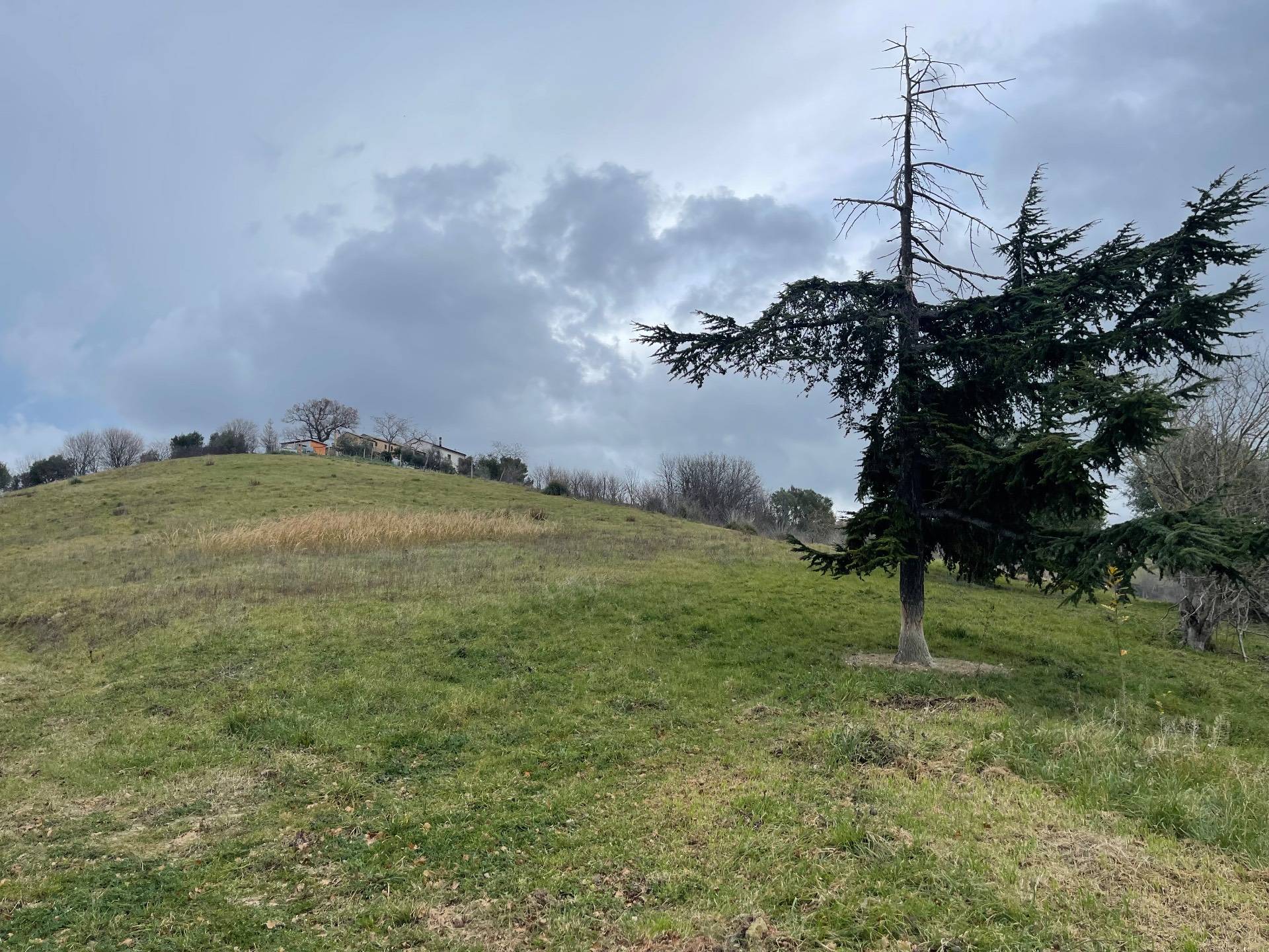 Rustico/Casale in vendita a Ripatransone