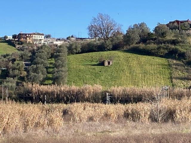 Terreno in vendita, Monterotondo scalo