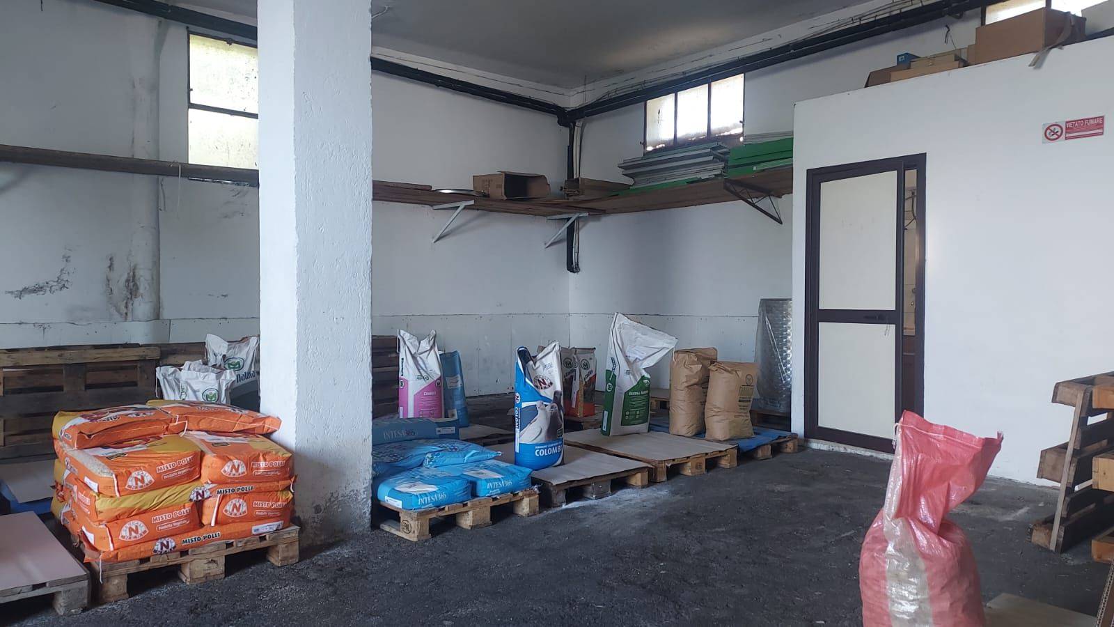 Locale commerciale in affitto a Monterotondo, Monterotondo Scalo