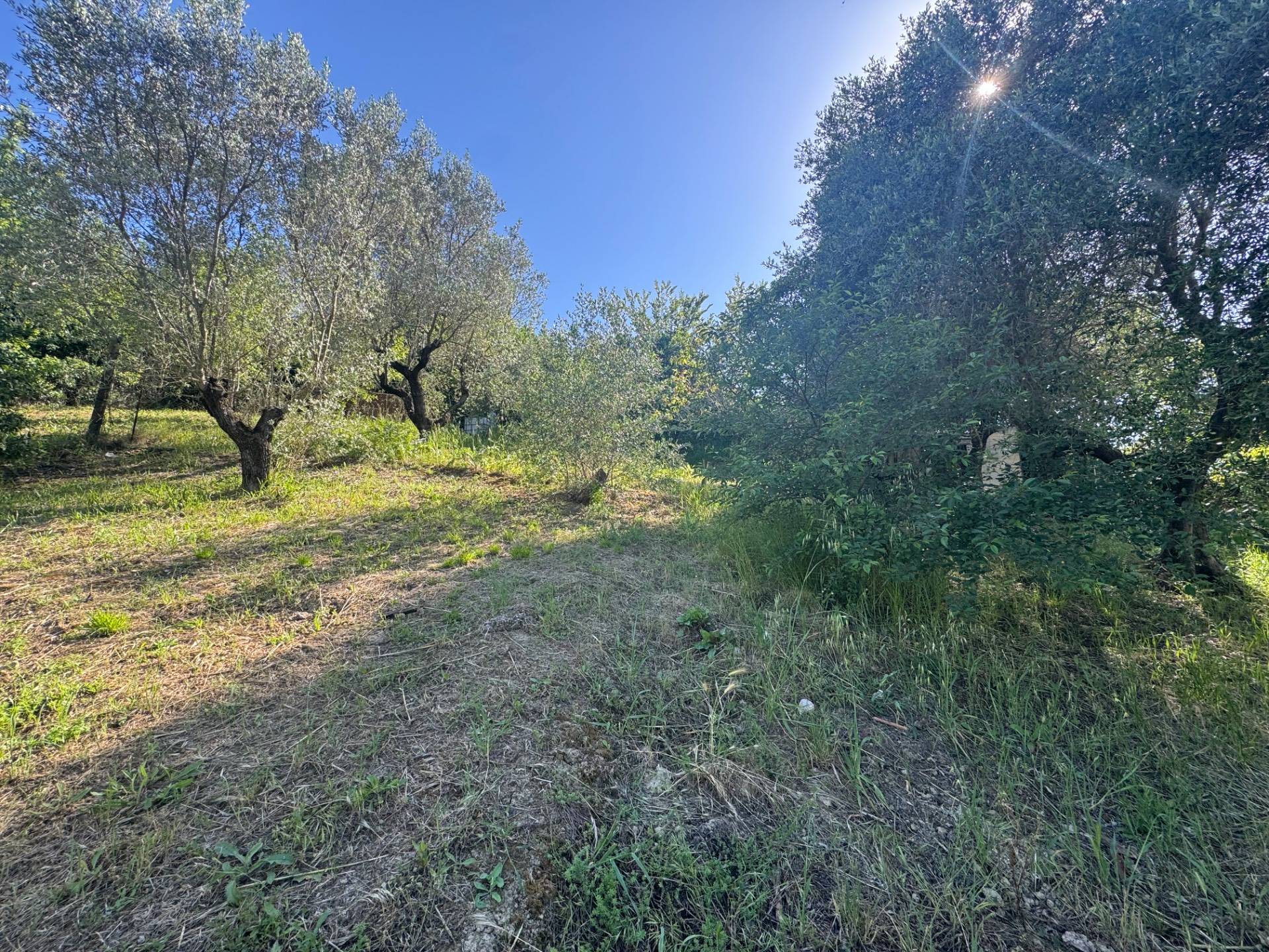 Terreno Edificabile in vendita a Monterotondo, Monterotondo Scalo