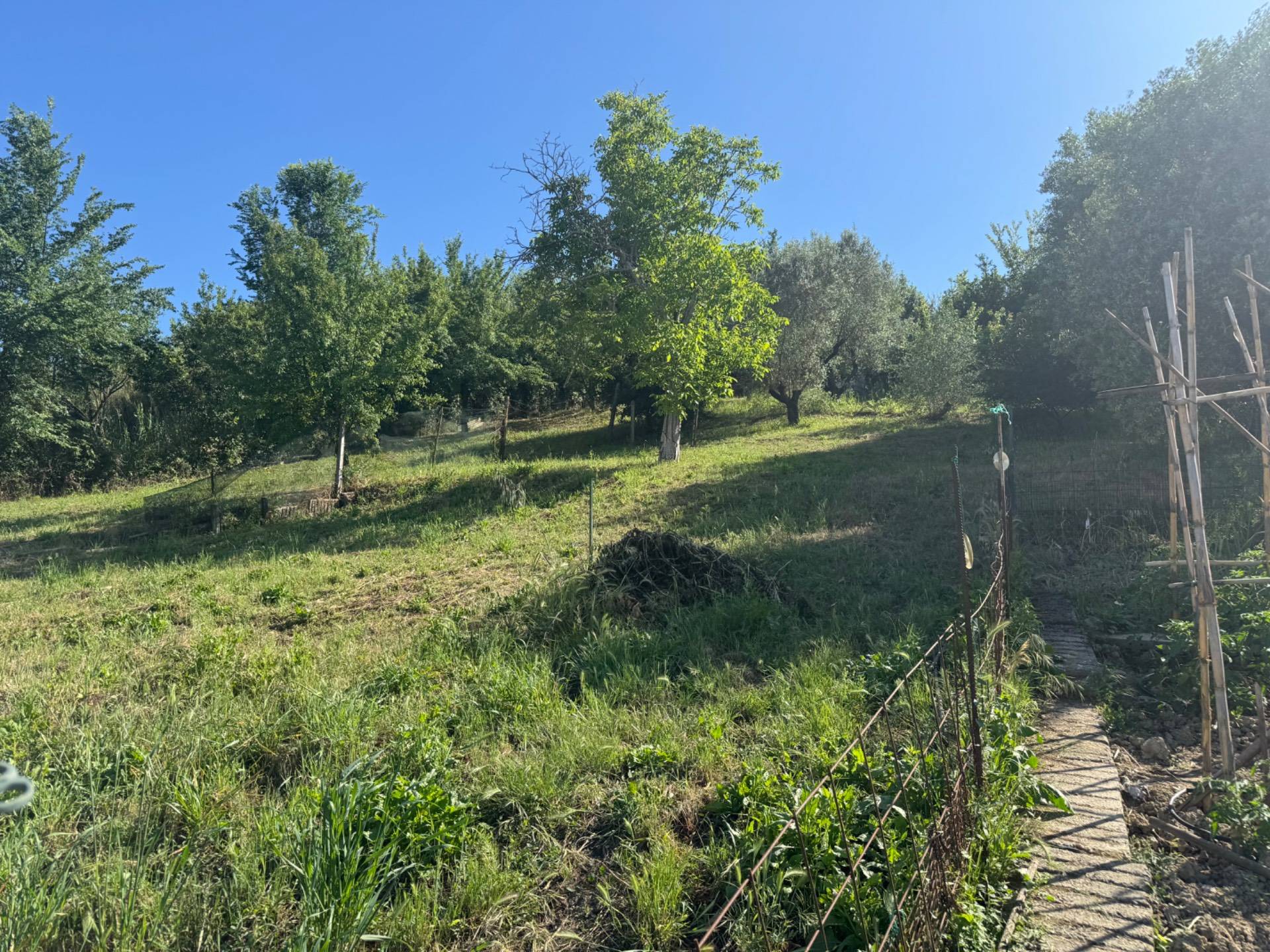 Terreno Edificabile in vendita a Monterotondo, Monterotondo Scalo