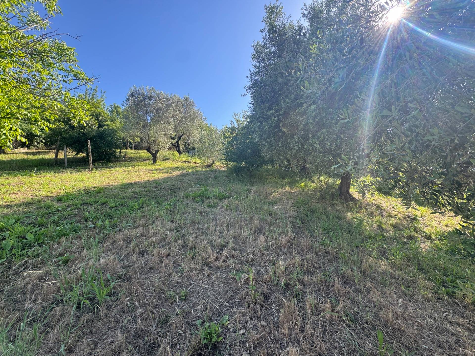 Terreno Edificabile in vendita a Monterotondo, Monterotondo Scalo