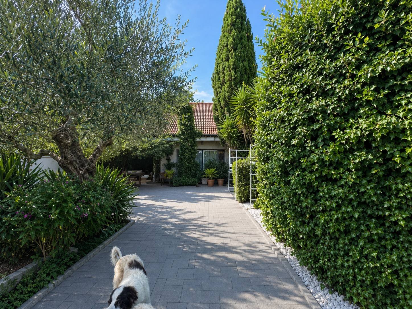 Villa in vendita a Mentana