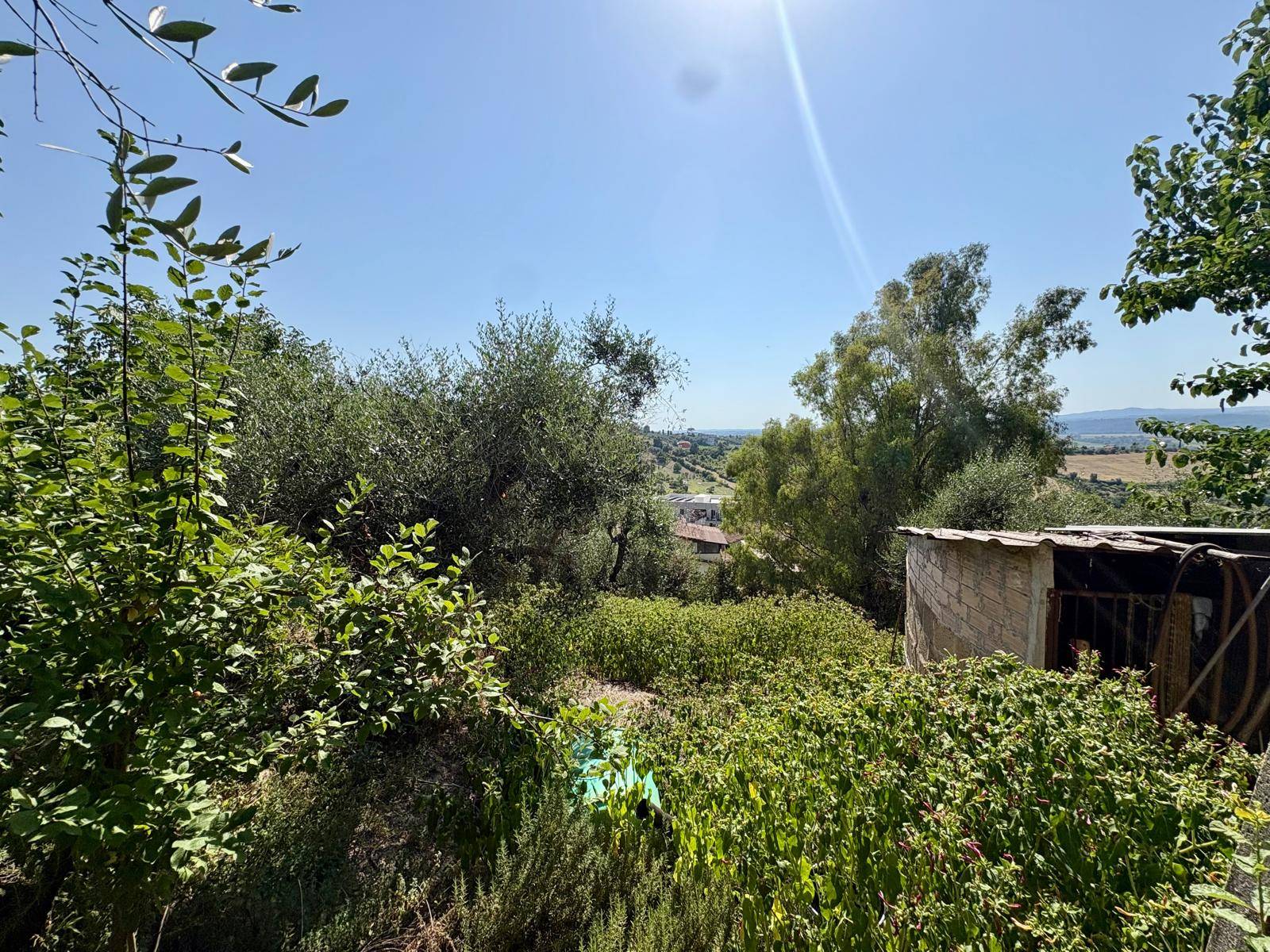 Terreno Edificabile in vendita a Monterotondo, Monterotondo Paese