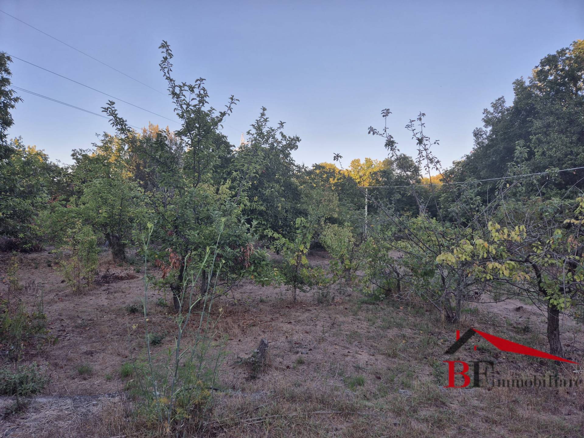 Terreno Agricolo in vendita a Trecastagni