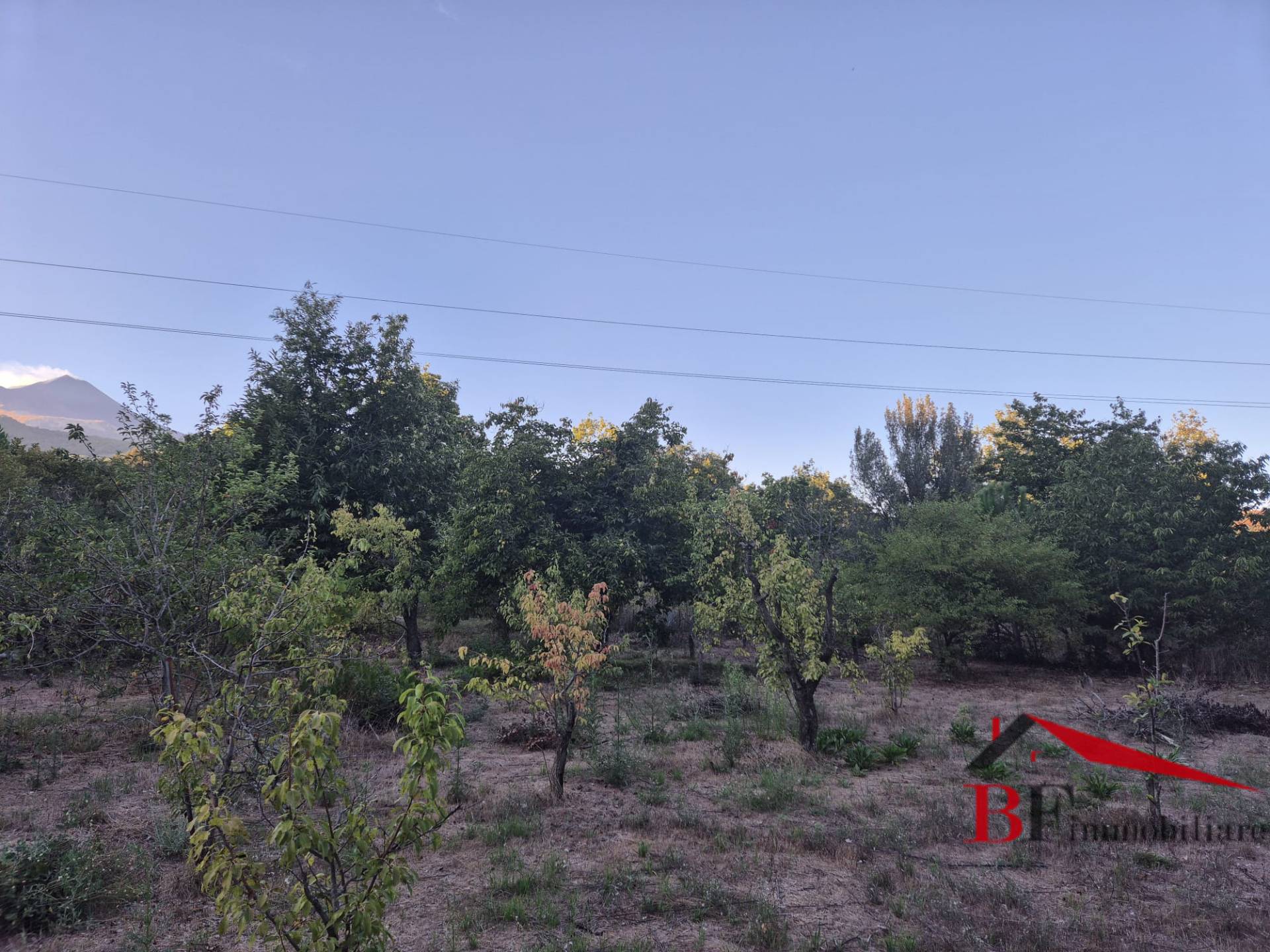 Terreno Agricolo in vendita a Trecastagni