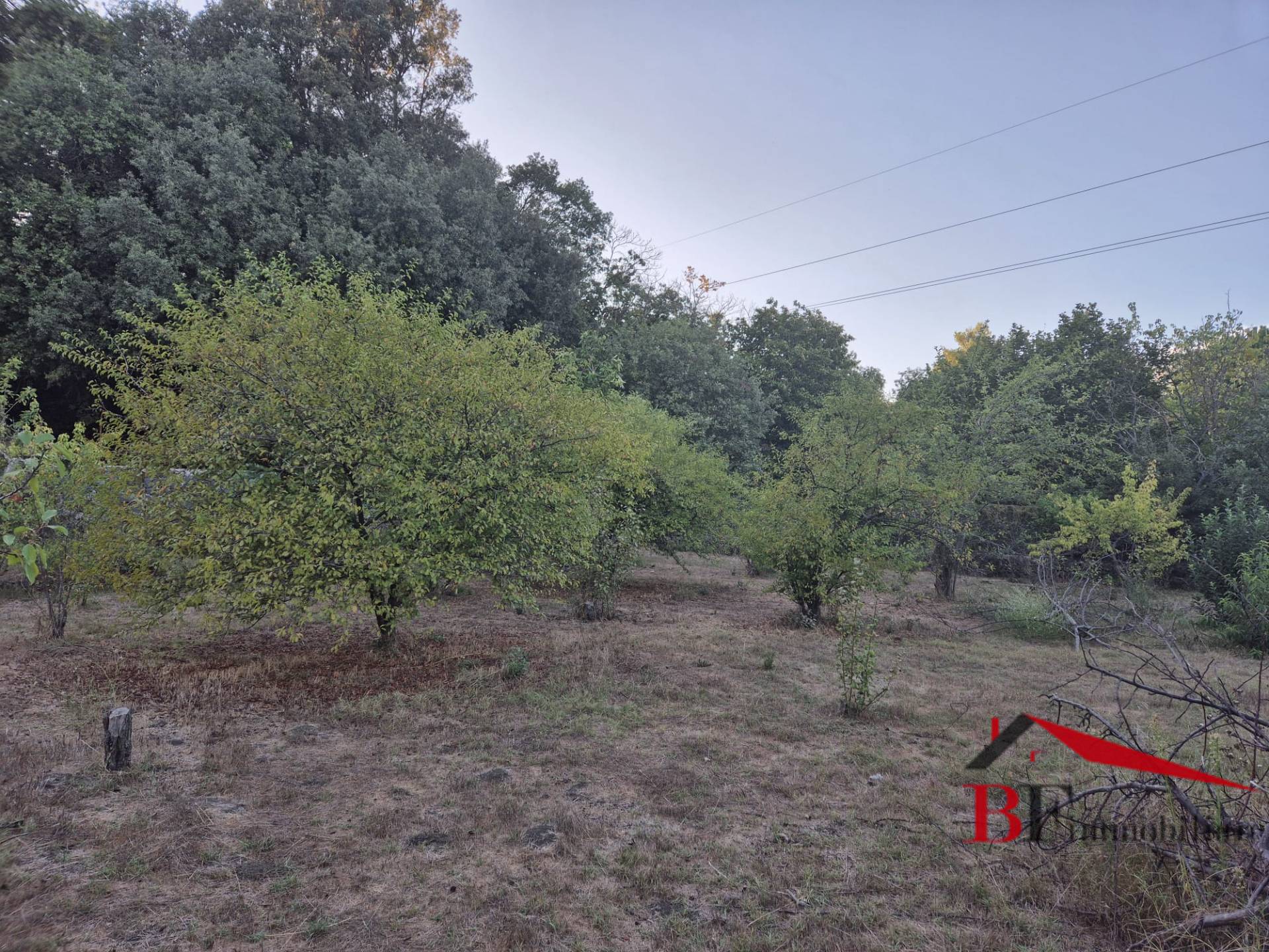 Terreno Agricolo in vendita a Trecastagni