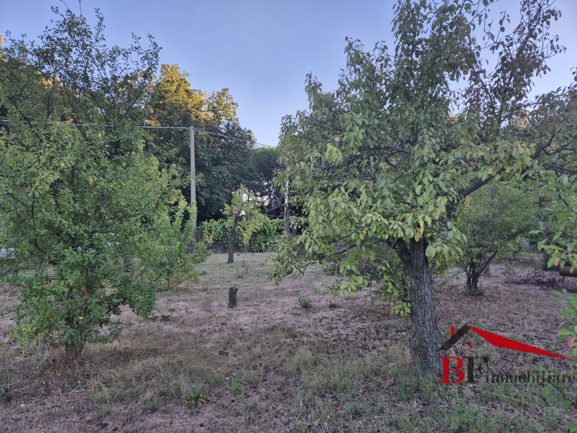 Terreno Agricolo in vendita a Trecastagni