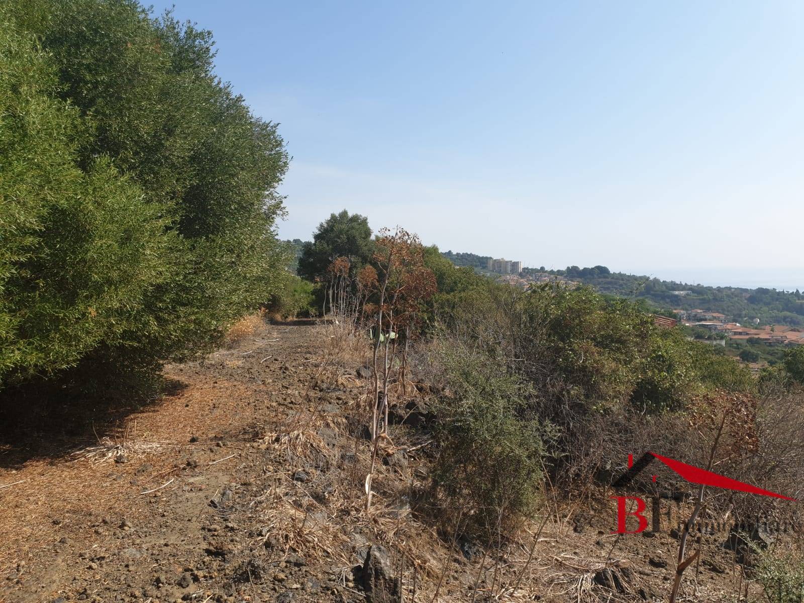 Terreno Agricolo in vendita a Aci Castello, Ficarazzi