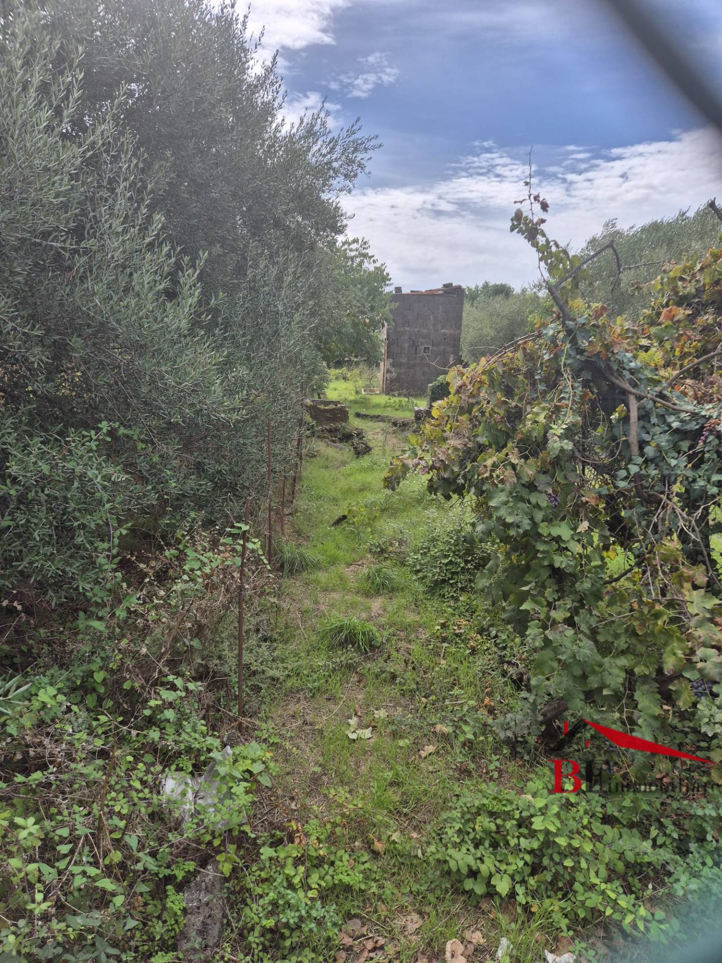 Terreno Agricolo in vendita a Valverde