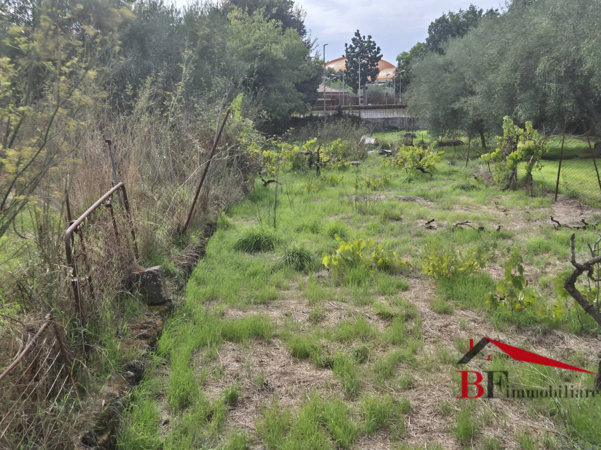 Terreno Agricolo in vendita a Valverde