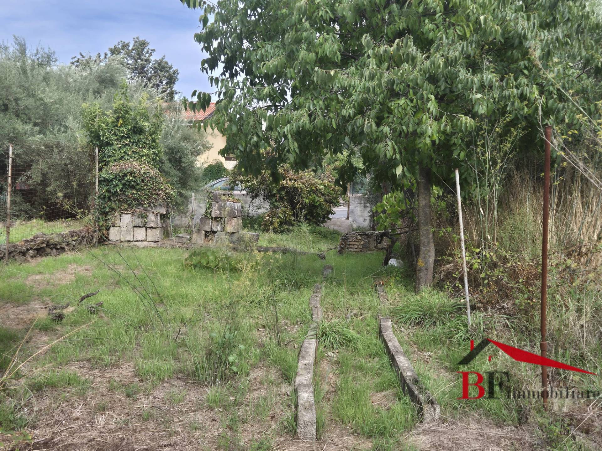 Terreno Agricolo in vendita a Valverde