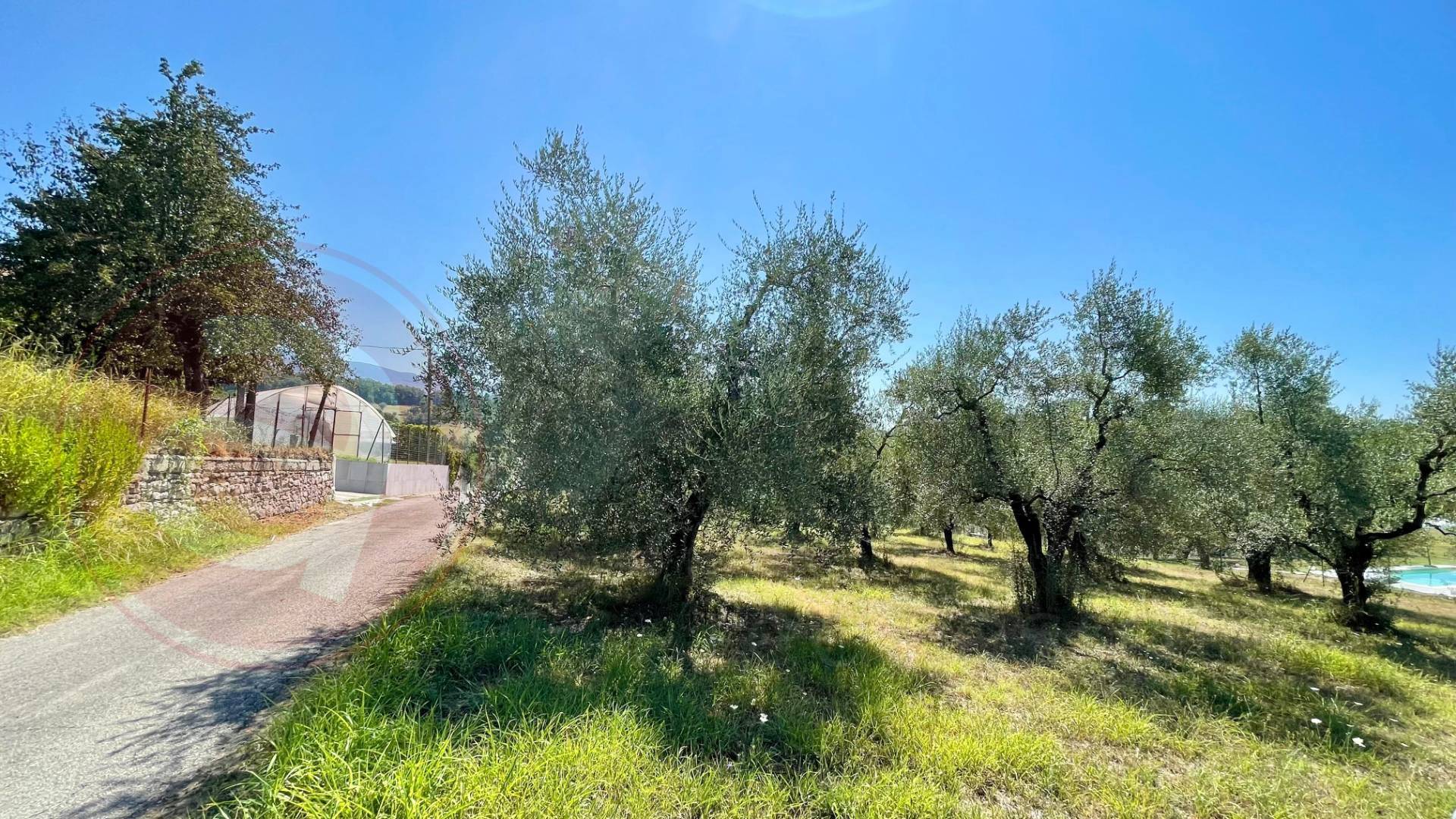 Terreno in vendita a Colfelice