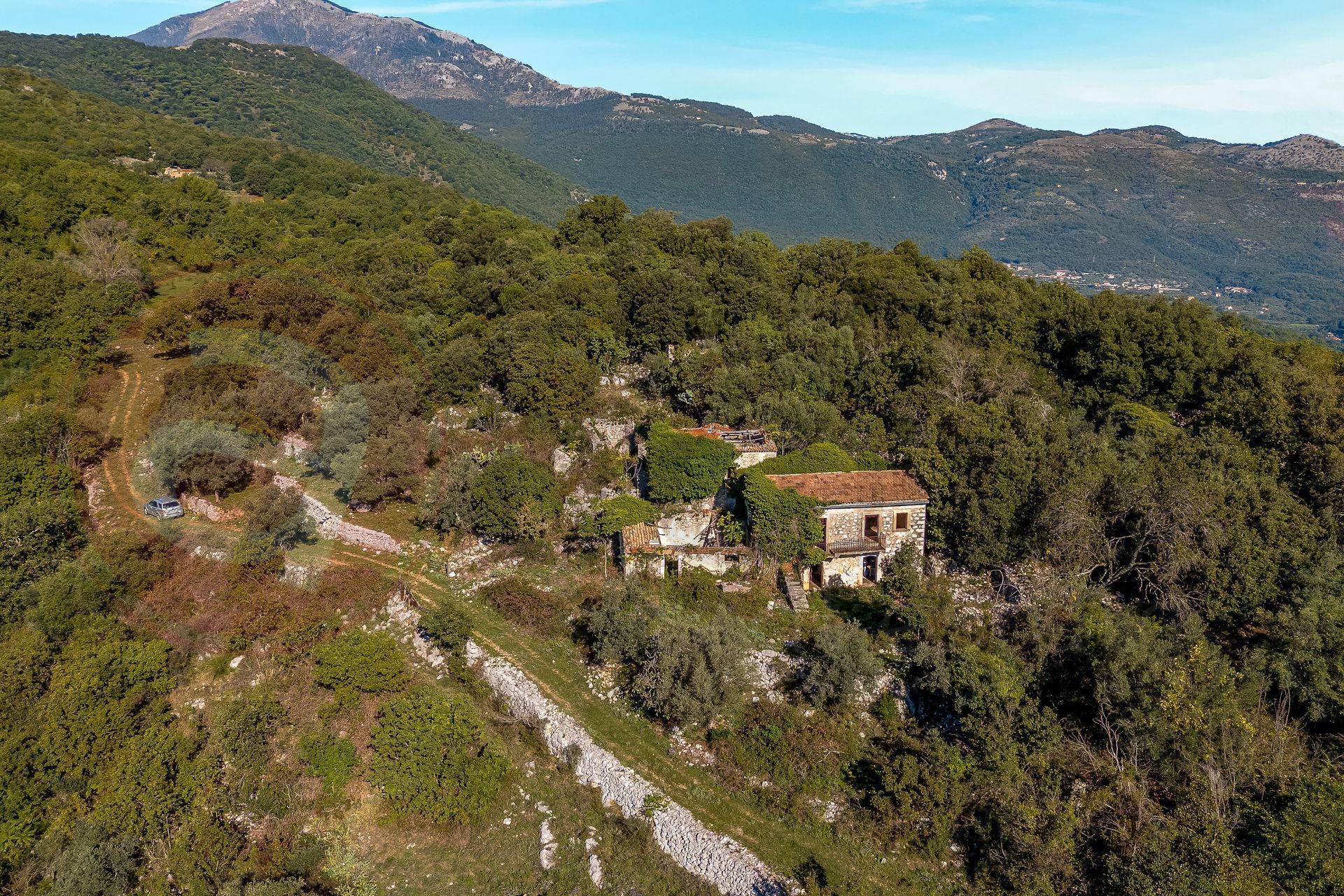 Attivit commerciale in vendita a Cassino