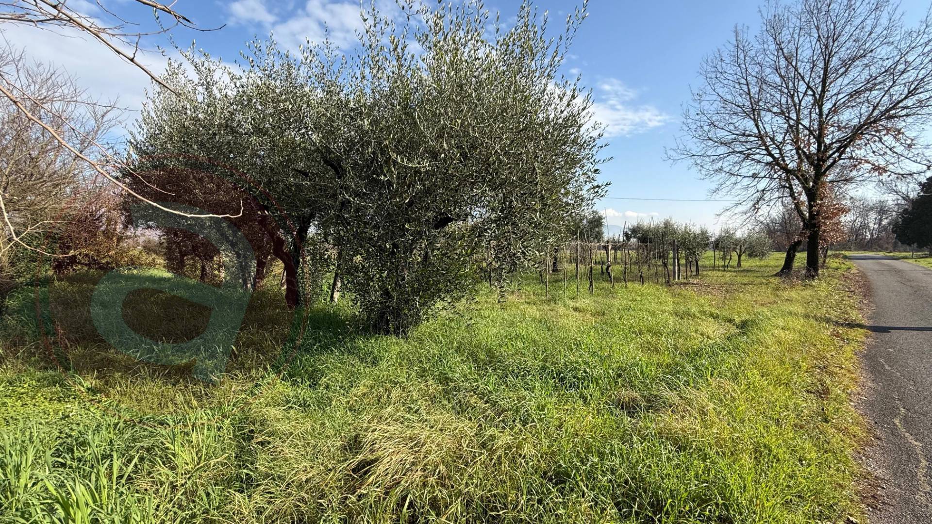 Casa indipendente in vendita a Roccasecca