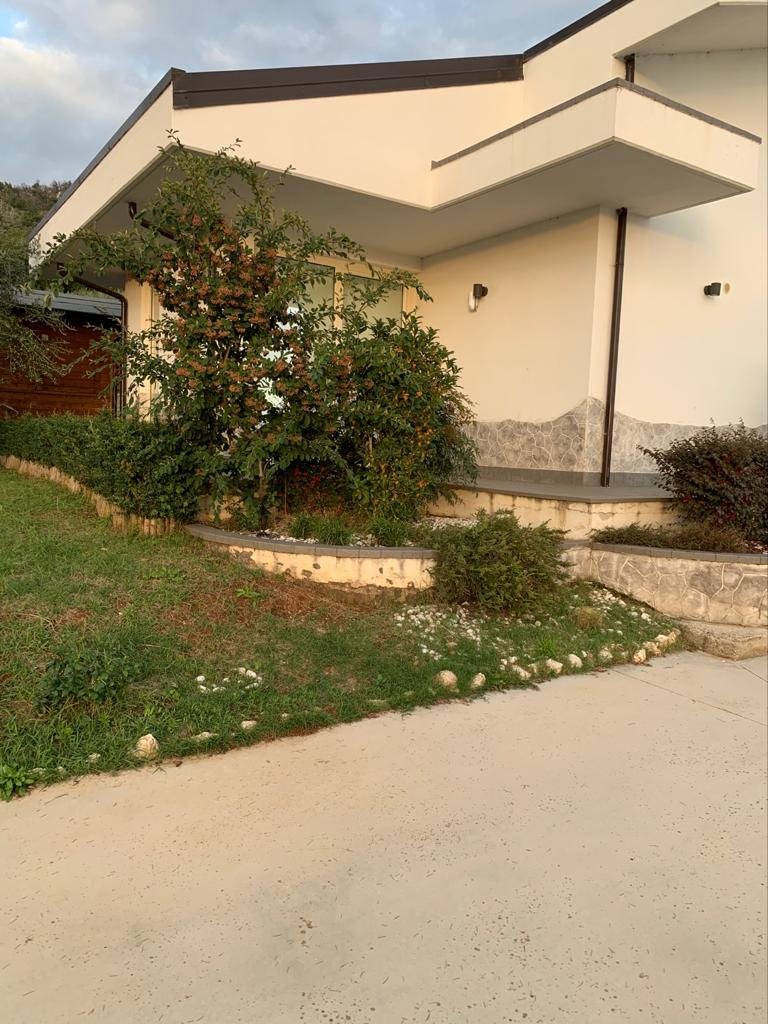 immagine annuncio 3 di 6