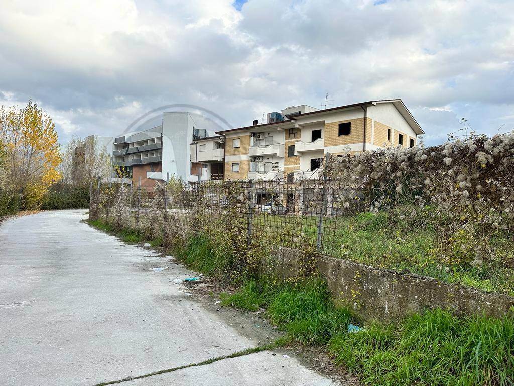 immagine annuncio 3 di 6