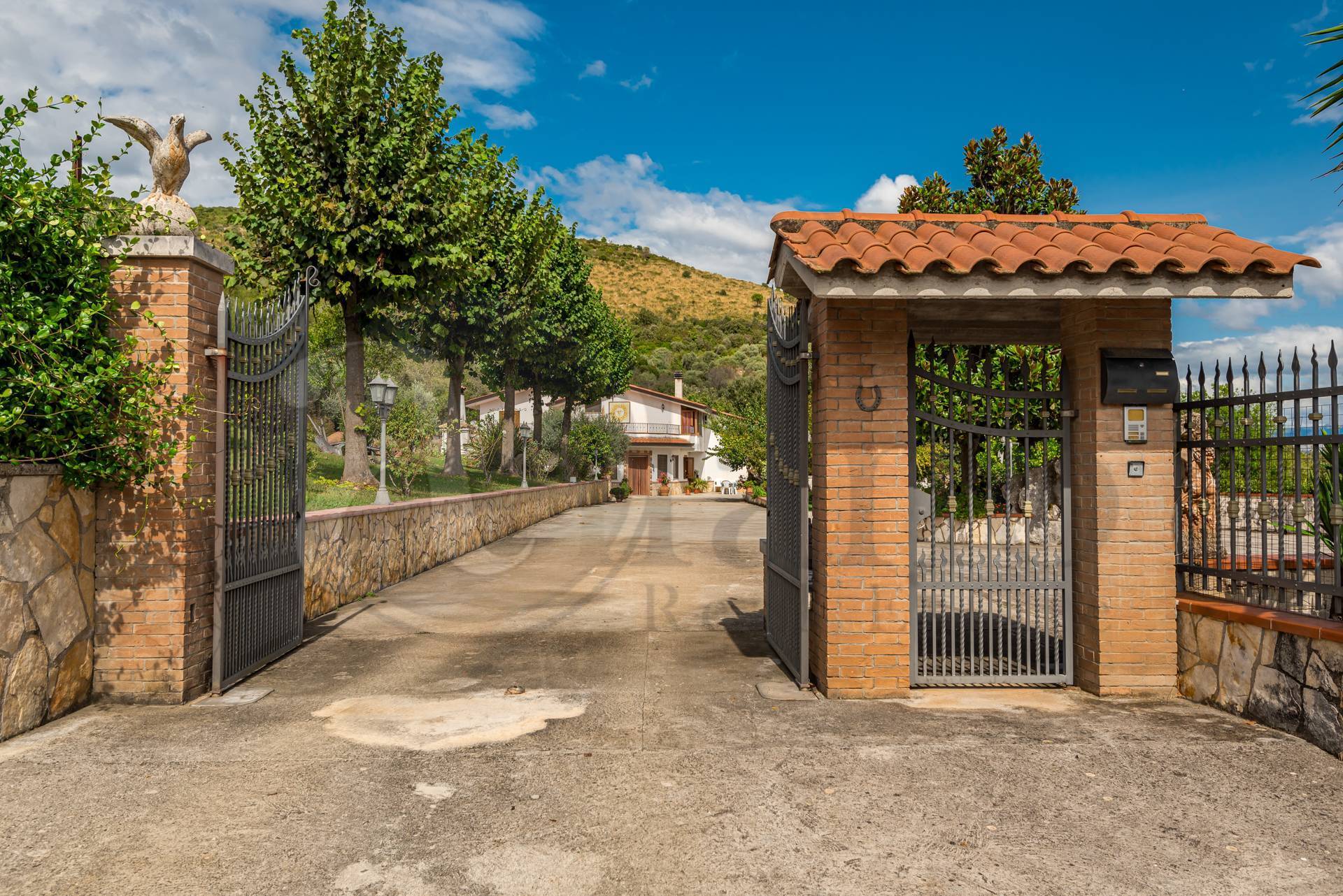 immagine annuncio 5 di 6