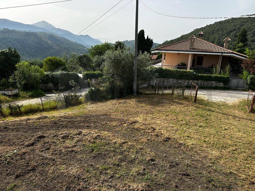 immagine annuncio 2 di 6