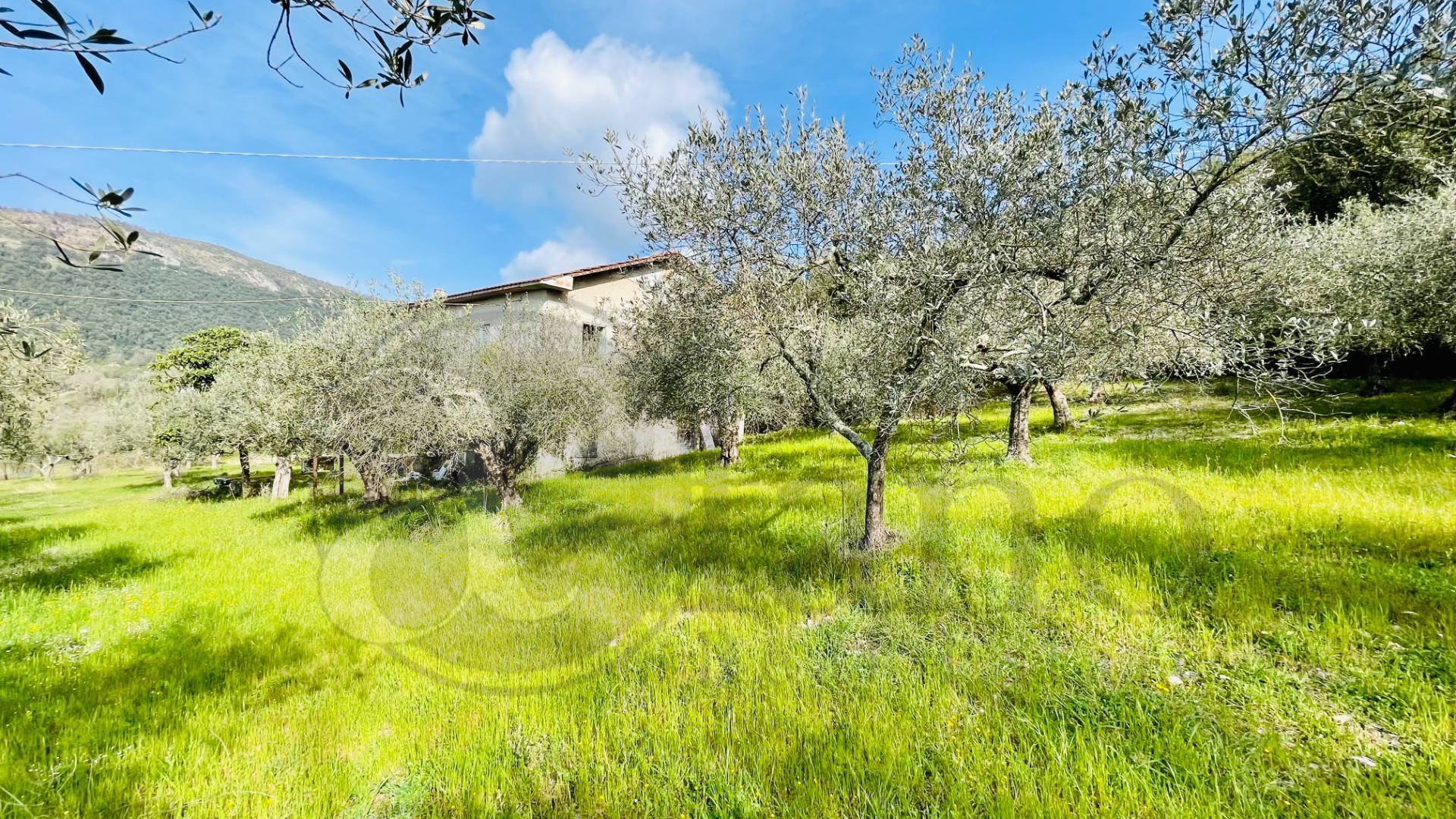 Casale di campagna in vendita a Roccasecca